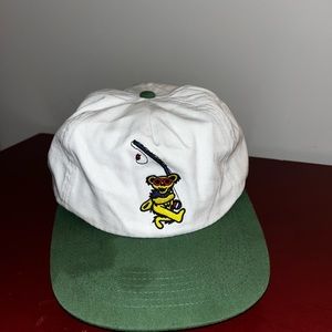 Teton Gravity Research Hat Grateful Dead